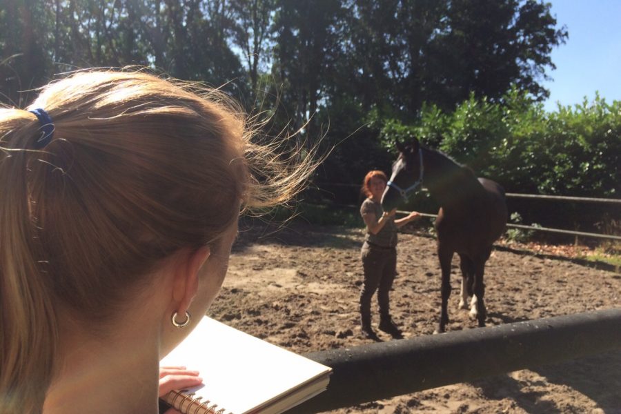 Hoe je je het beste kunt voorbereiden op een paardencoach sessie